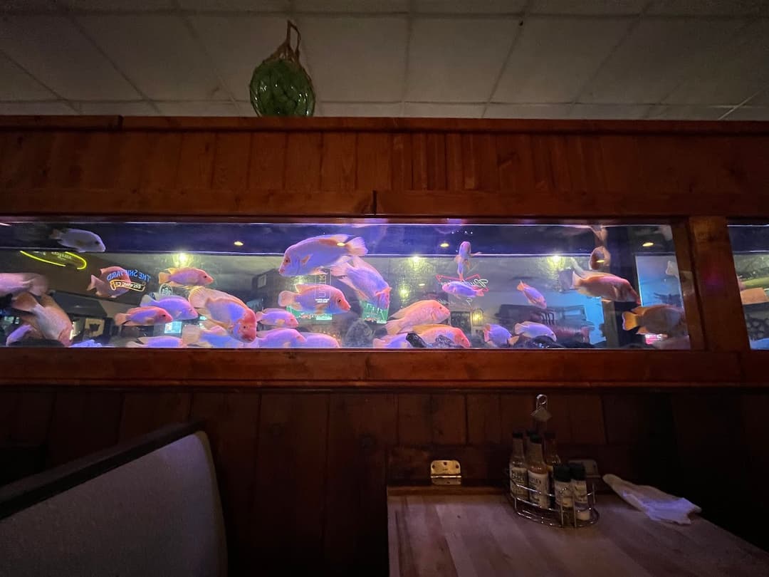Fish tank glowing above the booths